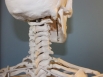 Calls for chiropractic board to be sacked