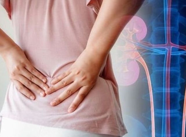 A new report shows urinary infections could cost Australia $1b ...