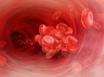 Clotting drug may aid hip patients