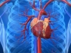 More Australians to get heart illnesses