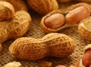 Peanut allergy trigger 'identified': study