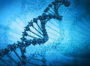 First DNA-based colon cancer test approved