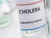 Spain denies first cholera case since 1979